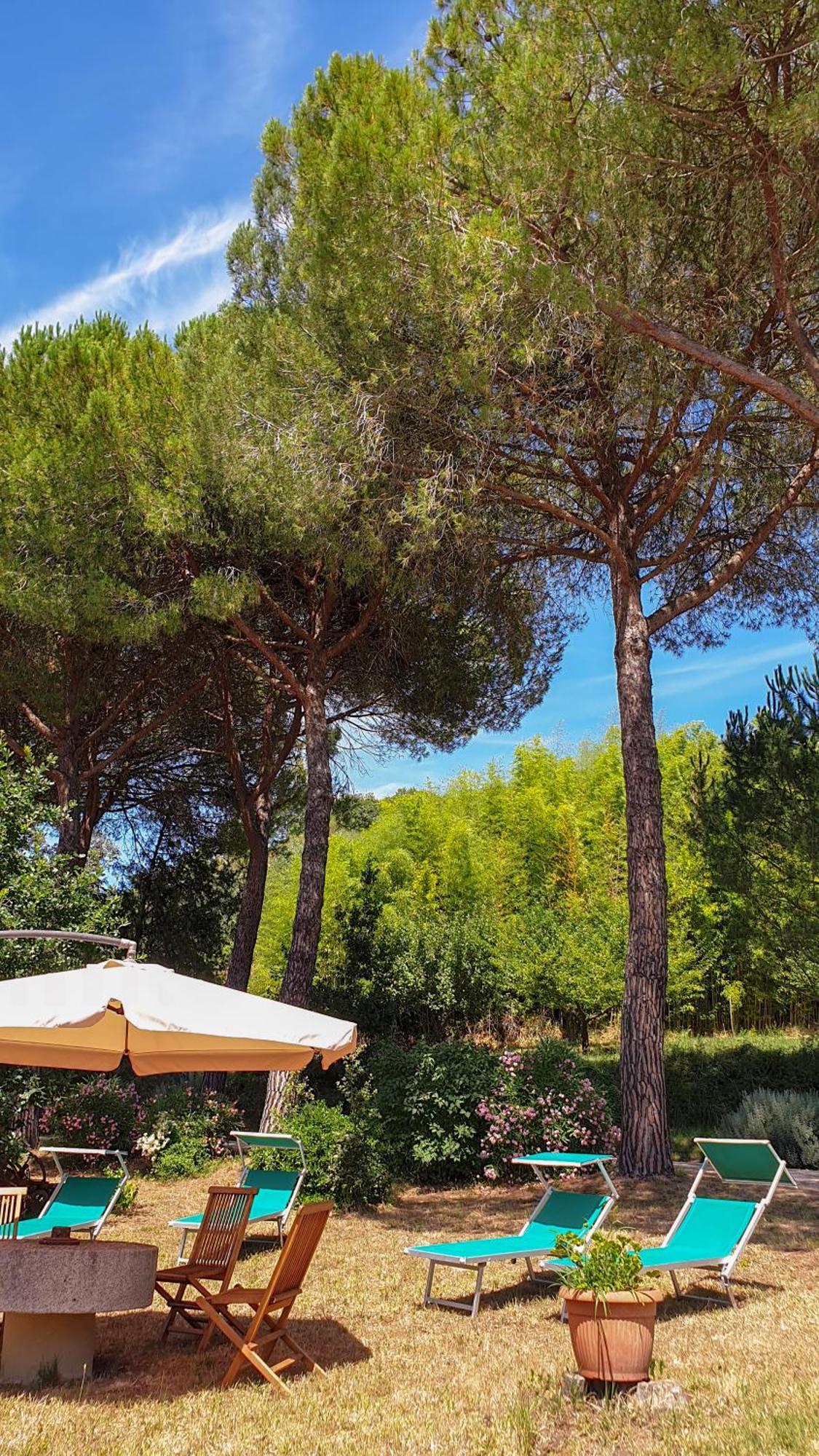 Agriturismo Podere Le Tombe Guest House Palaia Eksteriør bilde